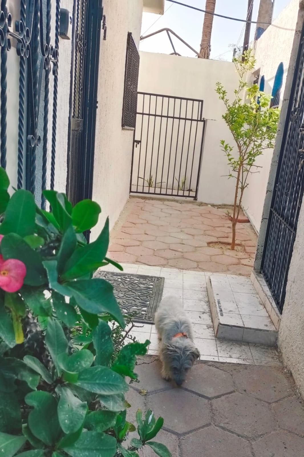 La Casa Del Pescador Apartment La Paz Luaran gambar